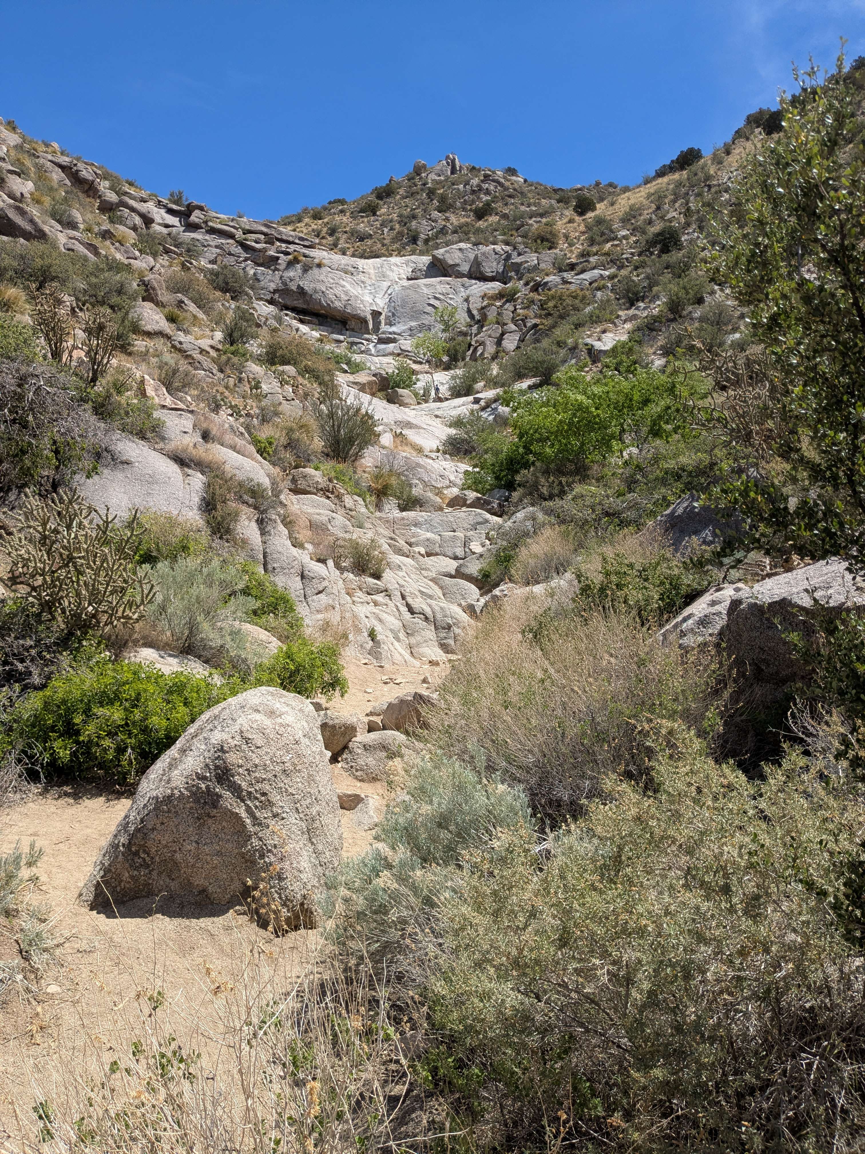 Photograph 4
