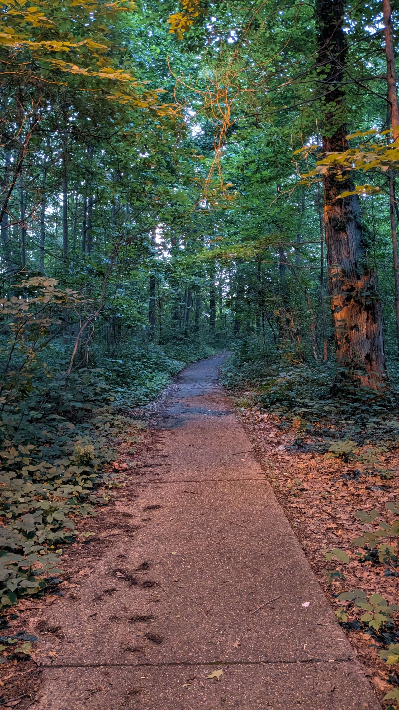 Photograph 11